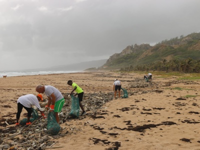 Regulation and the Circular Economy: Can the U.S. Turn the Tide on Plastic Pollution?